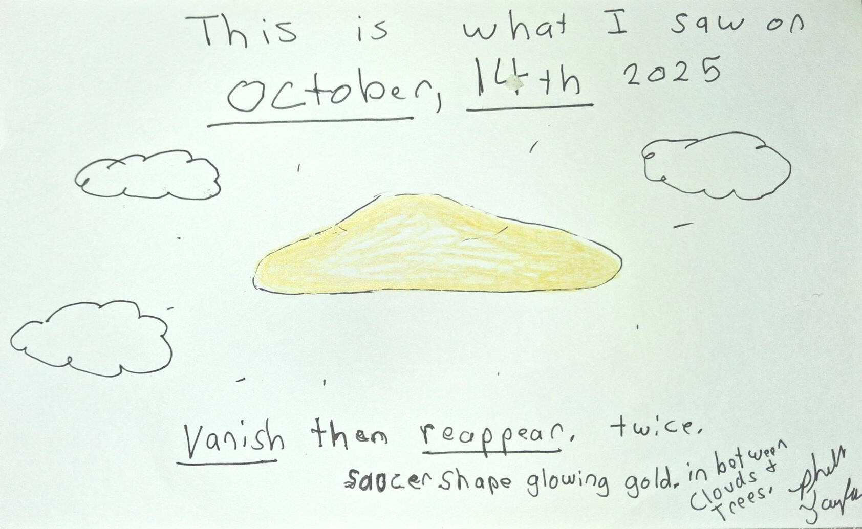 Golden Saucer Sighting