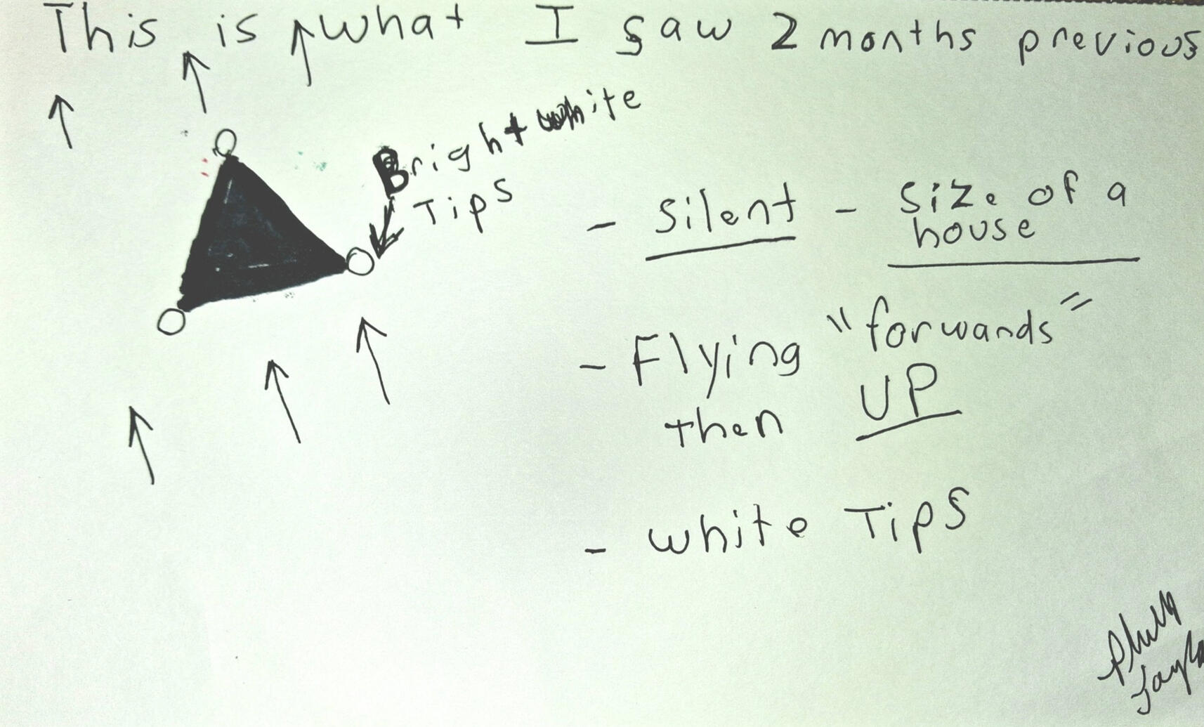 Black Triangle with white tips banking then going to atmosphere
